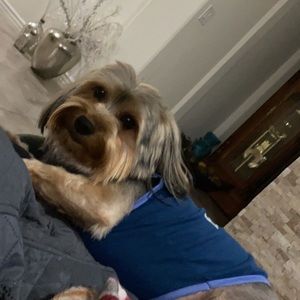 Meet your Posher, Giana